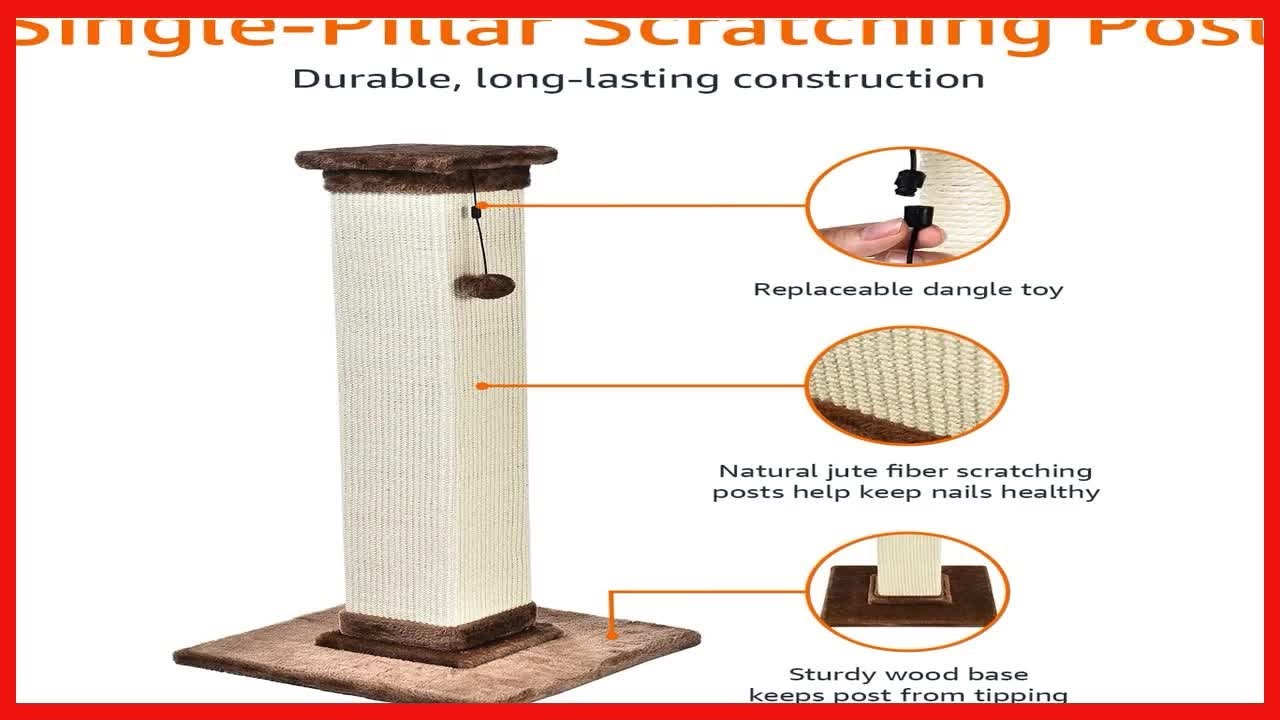 Amazon Basics Large Premium Tall Cat Scratching Post