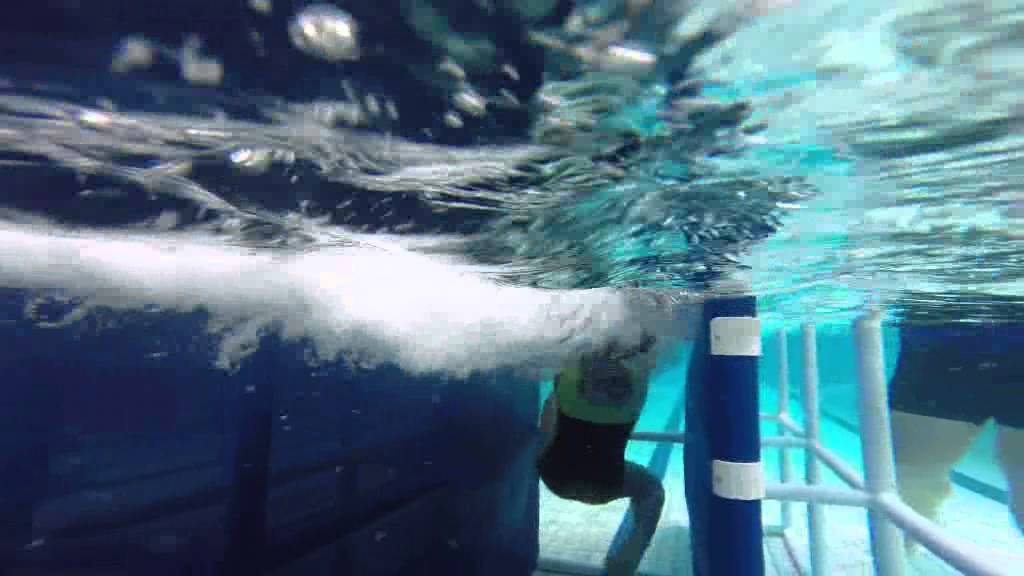 Dash Water Safety