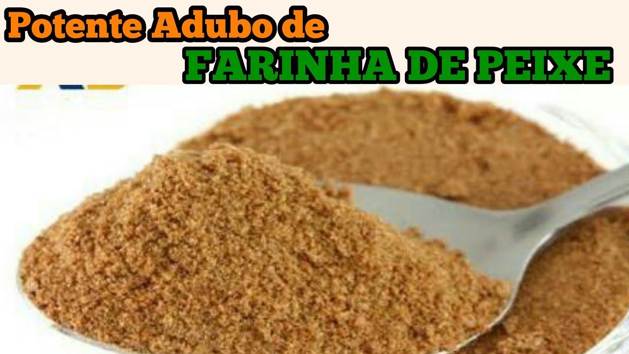 VEJA COMO FAZER A FARINHA DE PEIXE ADUBO RICO EM FÓSFORO. PASSO A PASSO!!!