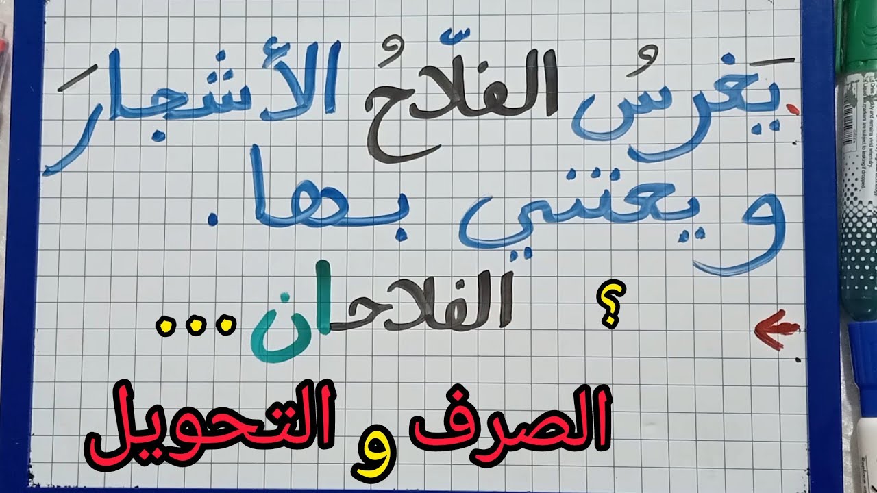 الصرف والتحويل/تحويل جملة من المفرد إلى المثنى والجمع