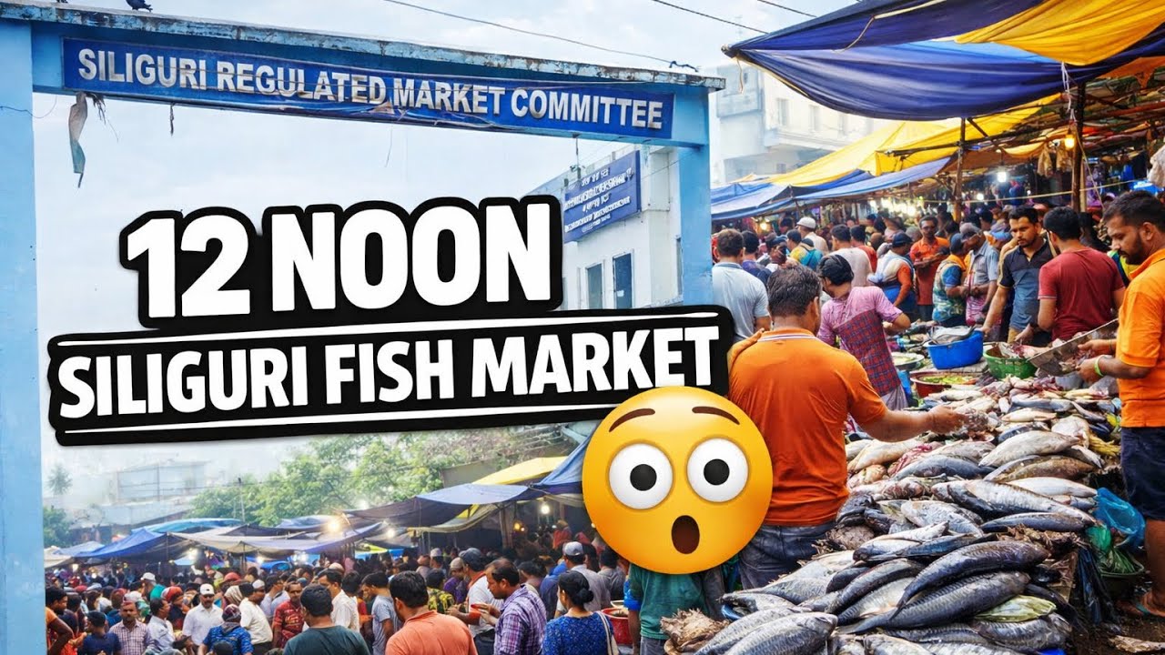 What really happens at a fish market at 12 noon?This is the real picture from Siliguri Fish Market.
