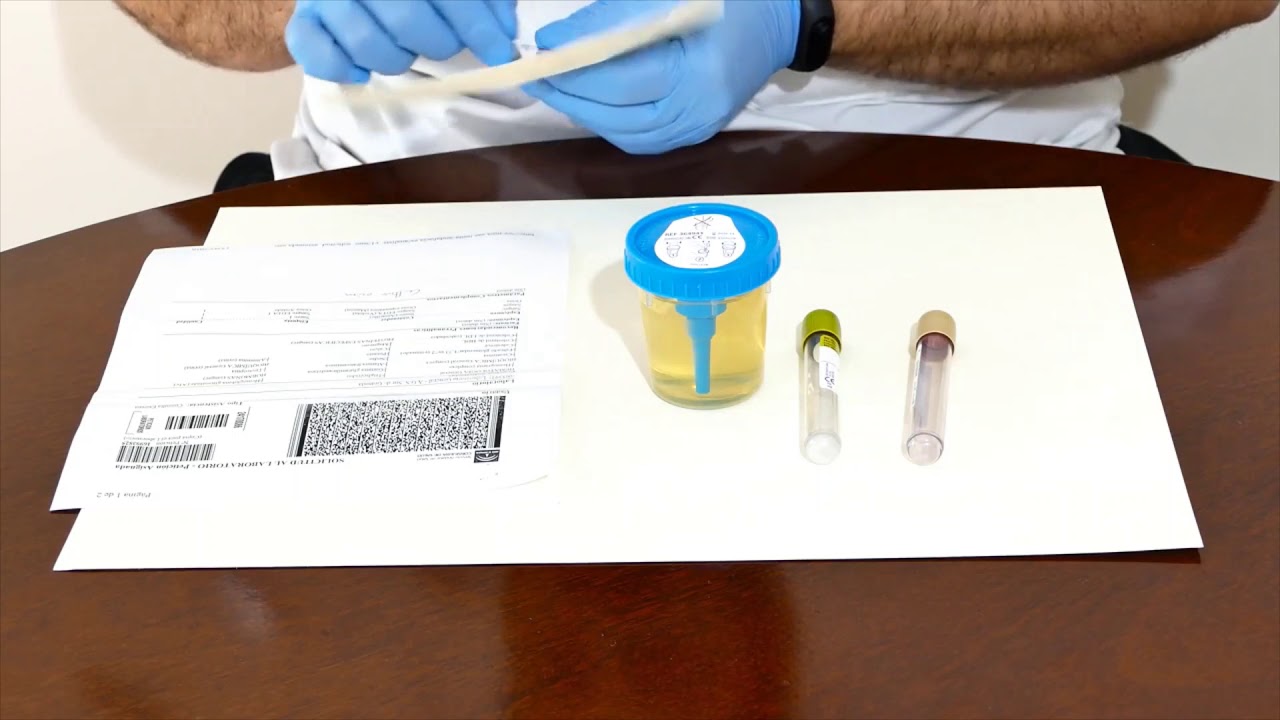 RECOGIDA DE MUESTRAS ESTÉRILES DE ORINA EN 4K. COLLECTION OF STERILE URINE SAMPLES IN 4K.
