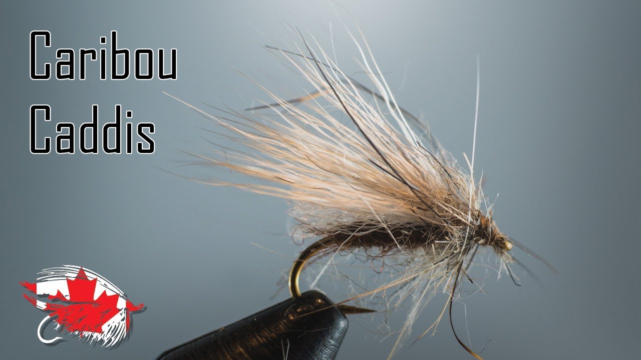 Friday Night Flies - Caribou Caddis