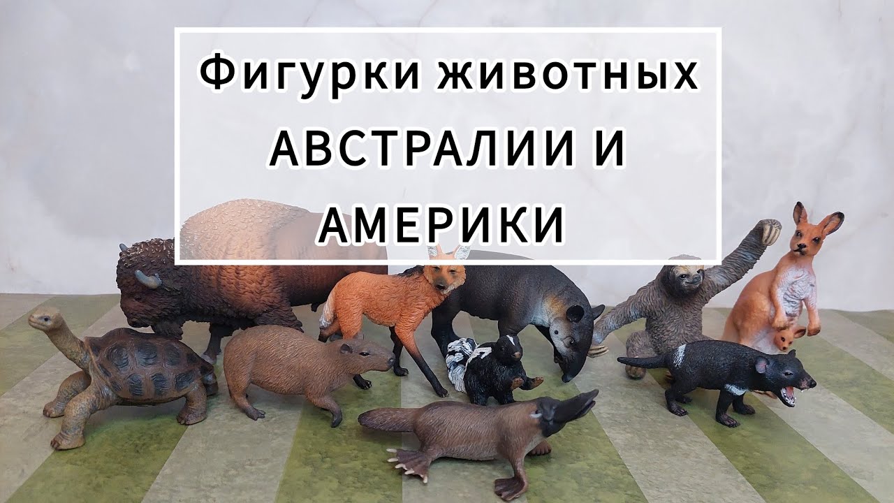 Обзор фигурок животных АВСТРАЛИИ и АМЕРИКИ. Collecta, schleich, mojo, safari ltd, papo, AliExpress