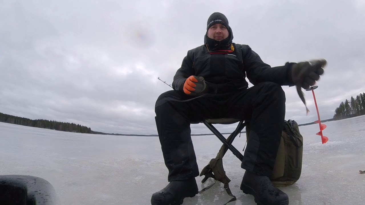 Ahvenen pilkintää Jesse Mambolla ja Lowrancen LiveSigth apuna.