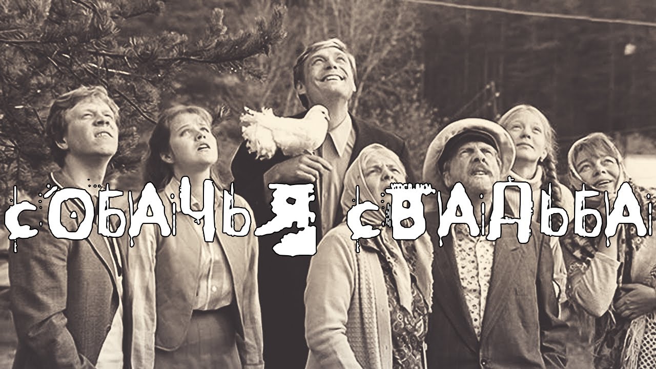 Любовь и голуби (1984). Собачья свадьба. МД обзор.