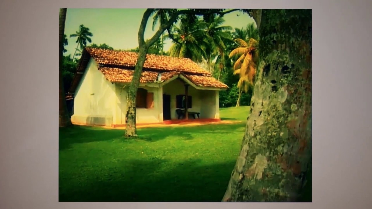 Martin Wickramasinghe - Sinhala Documentary| SLIITMetro2017