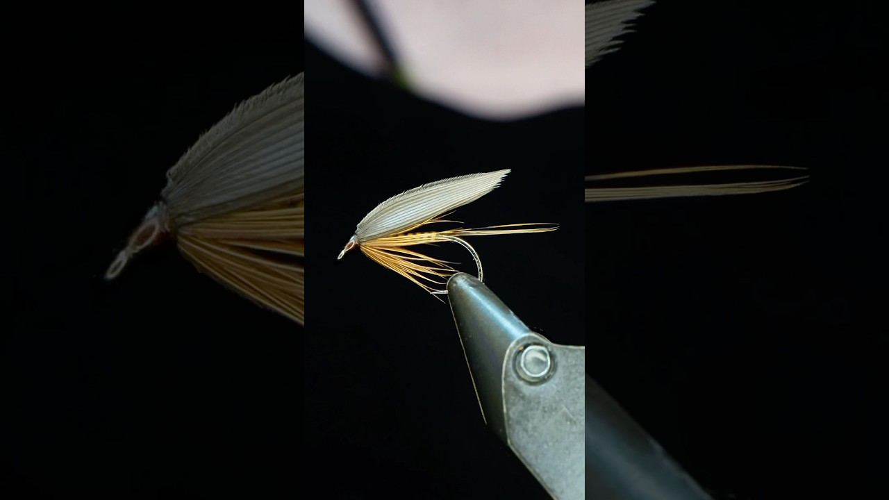 Ginger Quill Wet Fly!