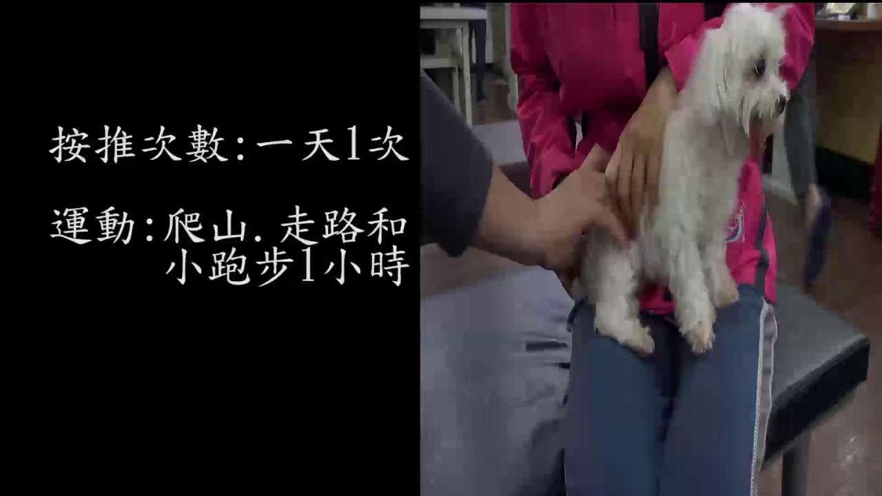 乳腺癌案例小狗 - 原始點2017案例集最新整理