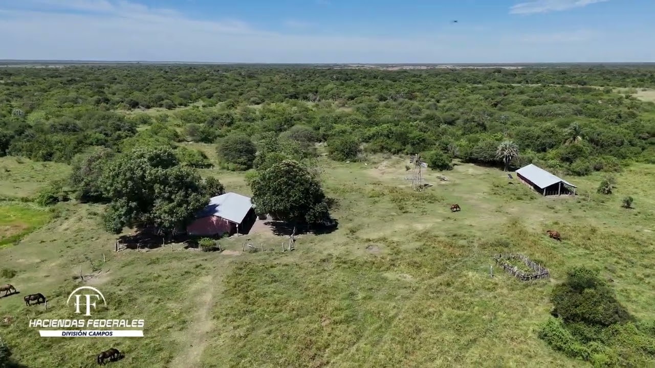 Inversión Ganadera en Corrientes | Campo de 14.884 Has