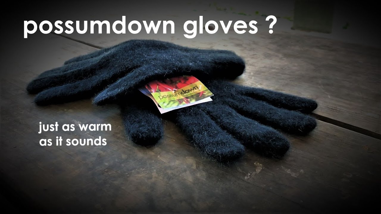 Zpacks Possum Down Gloves Review