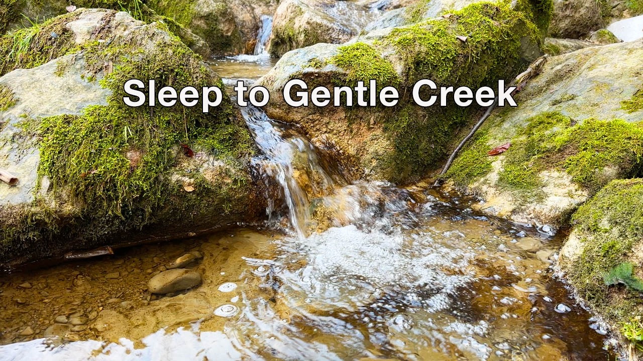 Soft Creek Water Over Mossy Stones | Natural Night Sleep Sounds & Relaxing Forest Ambience
