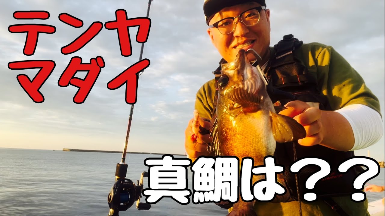 【テンヤマダイ】茨城で真鯛を狩る？？。。。#テンヤマダイ#五目釣り#釣り#ひとつテンヤ