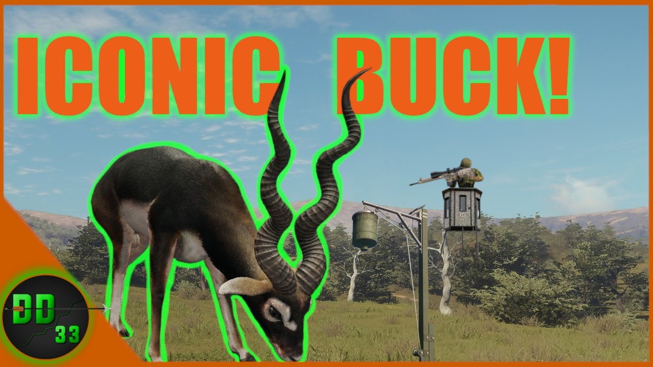 First Time Hunting For The Iconic Blackbuck With A Feeder! Call Of The Wild