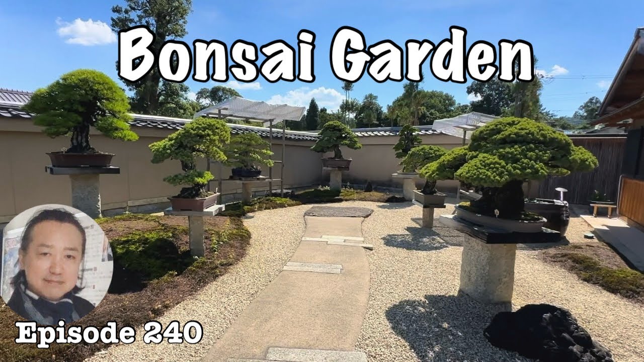 Hoshun-in Bosai Garden in Kyoto [Deep Japan] by the licensed tour guide 芳春院盆栽庭園