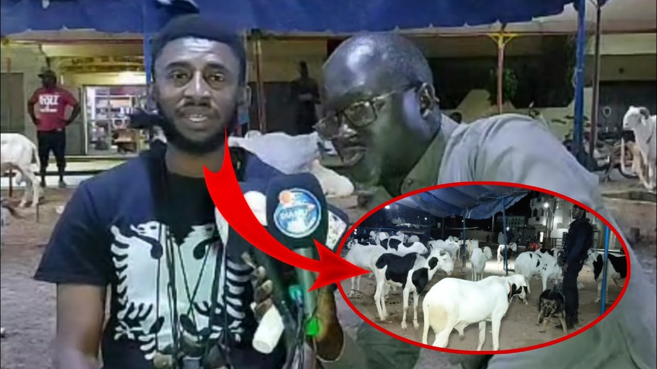 Tabaski 2023: Cheikh Ahmed Tidjane Diouf Révèle Les Incroyables Secrets Du Mouton de la Tabaski
