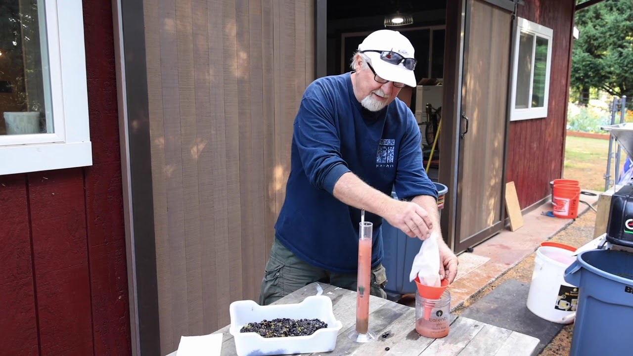 Brix Test with Hydrometer