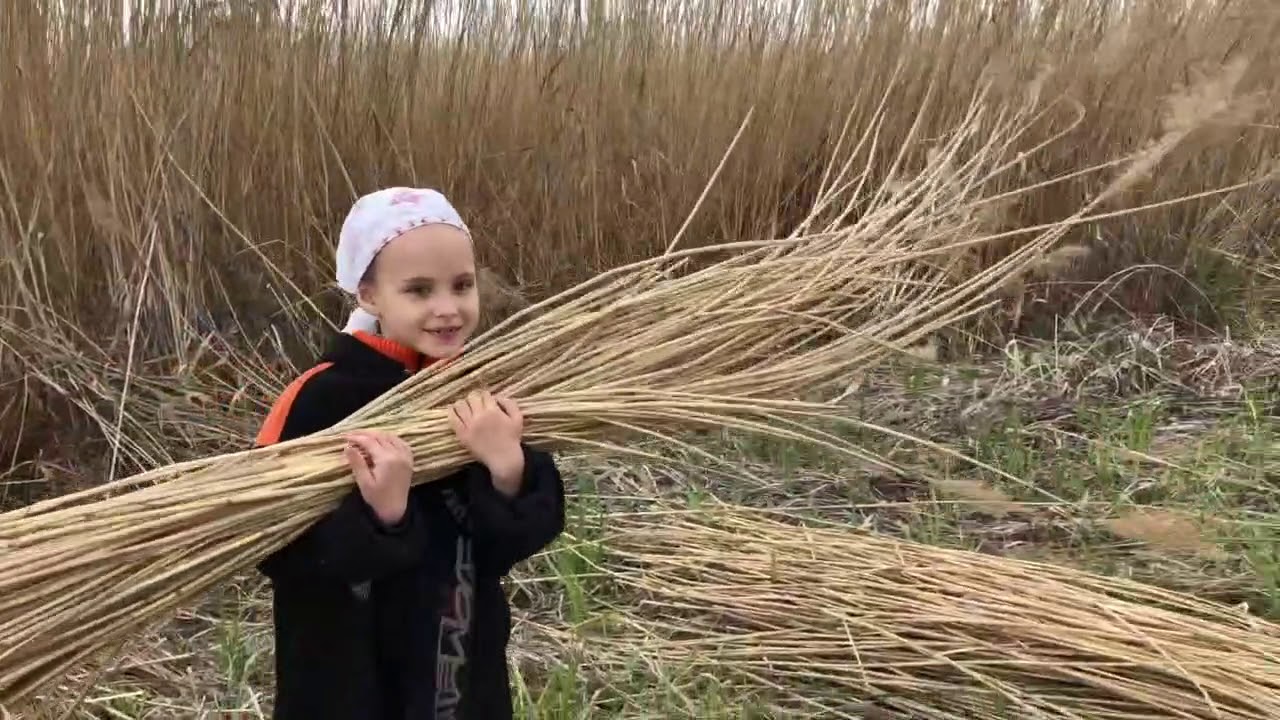 Крыша из тростника на деревенском туалете срубе