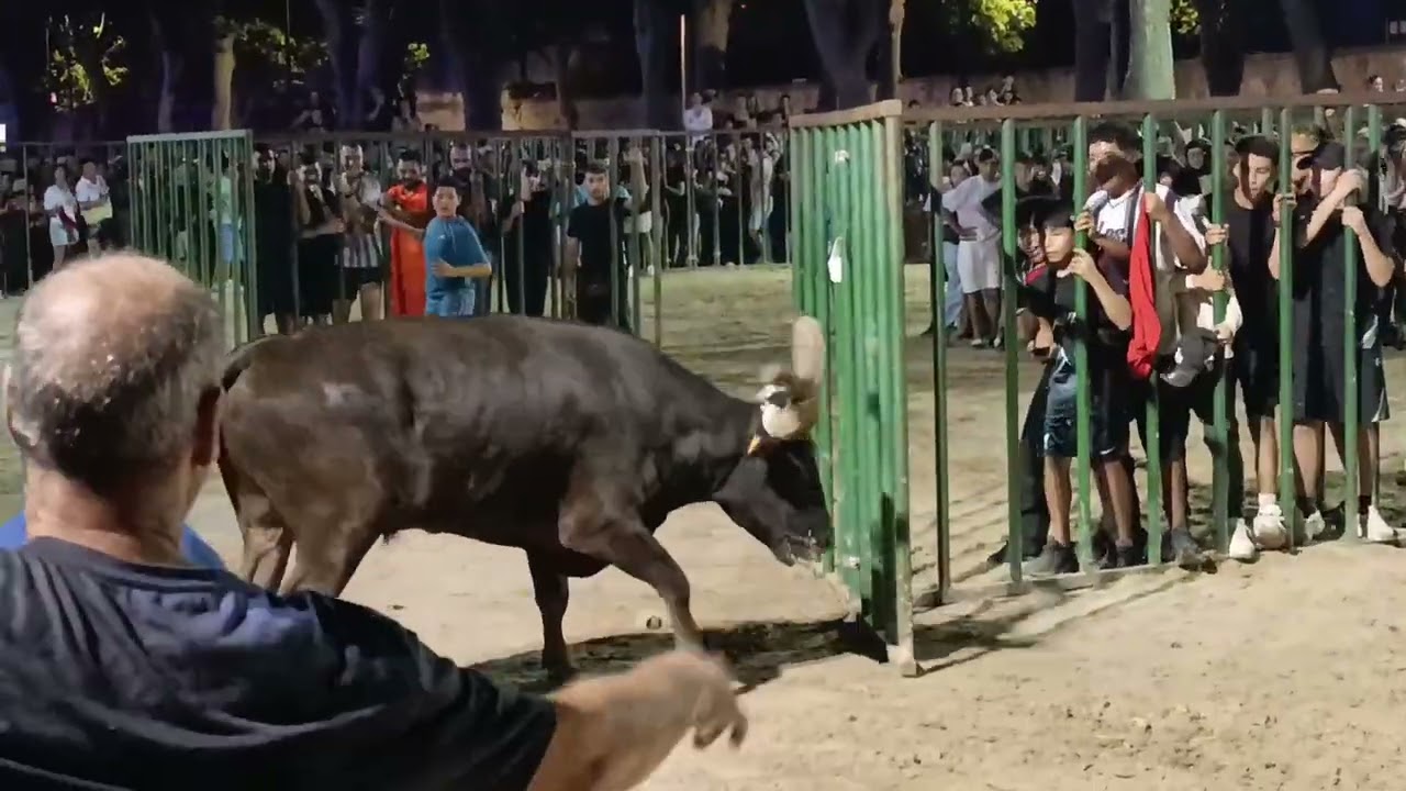ENCIERRO DE NUIT MANADE LABOURAYRE MEME QUAND LE TAUREAU  NE RENTRE PAS DE SUITE.