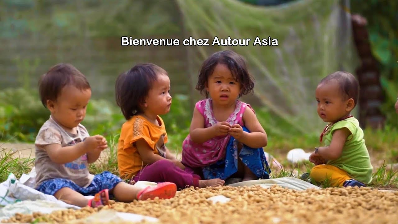 Partez au Vietnam : un voyage authentique entre rizi&egrave;res, traditions et merveilles