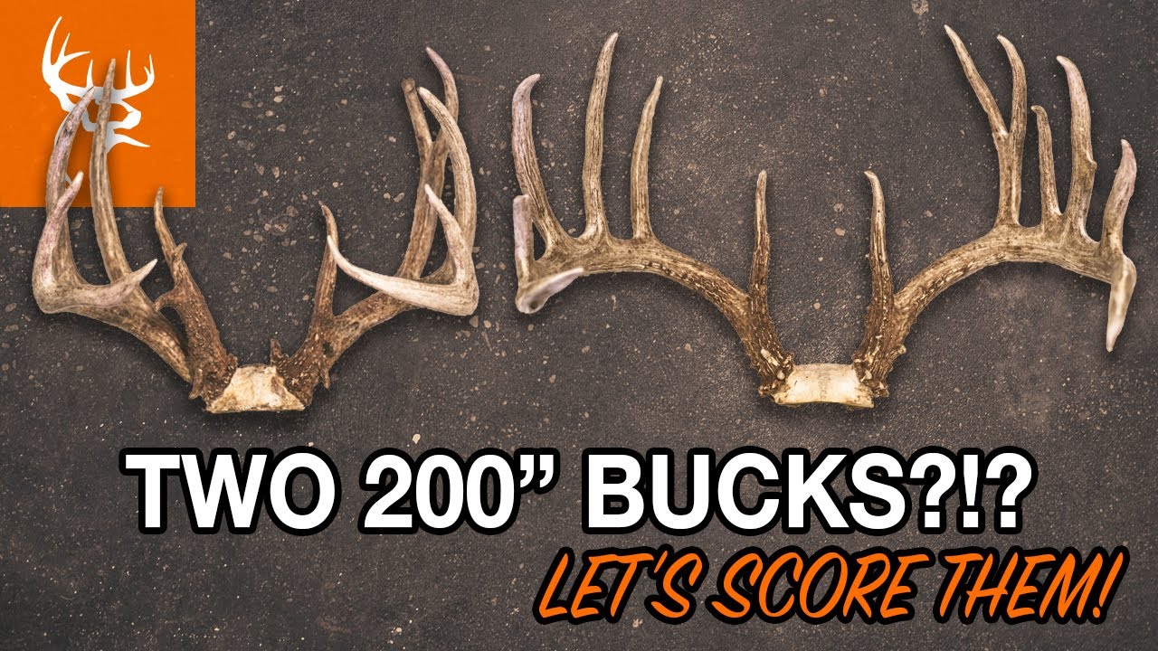TWO 200