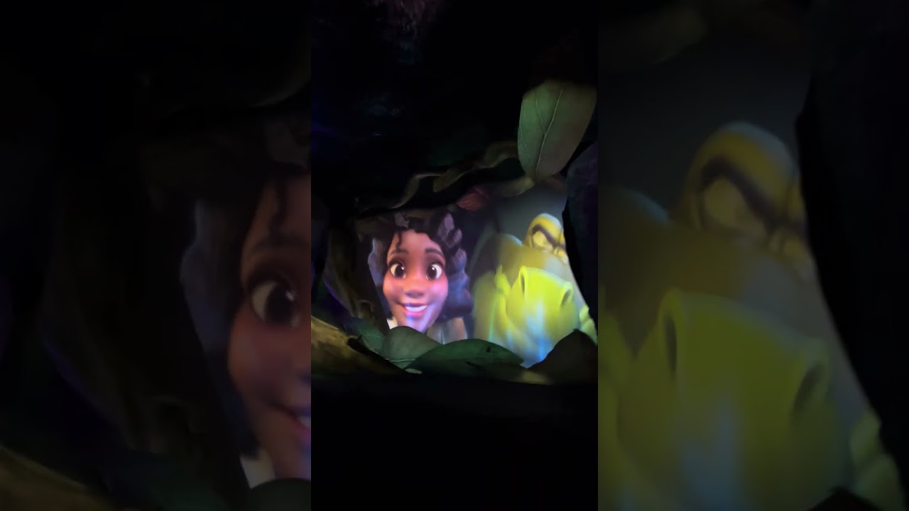 Tiana’s Bayou Adventure - POV - Magic kingdom