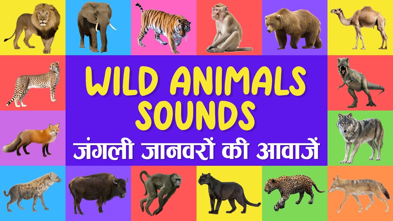 Wild animals name and sound | English to Hindi | Animal Sounds for Children | Animals Name