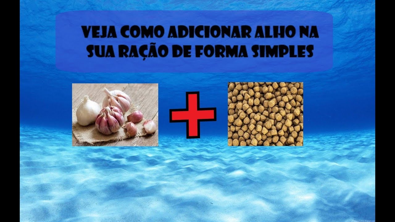 Como adicionar alho na ração da forma correta e de forma simples!!
