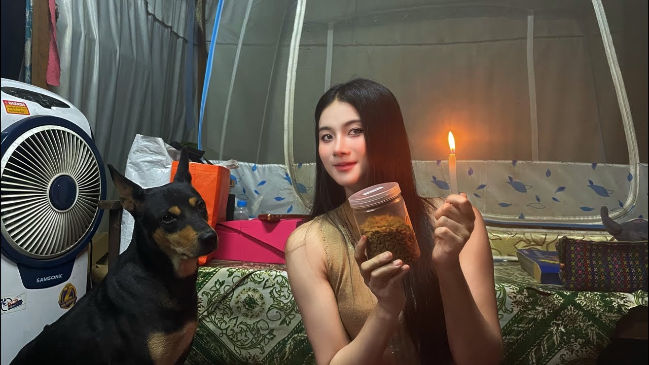 Candle Night With Your May Nu Zan❤️🐶