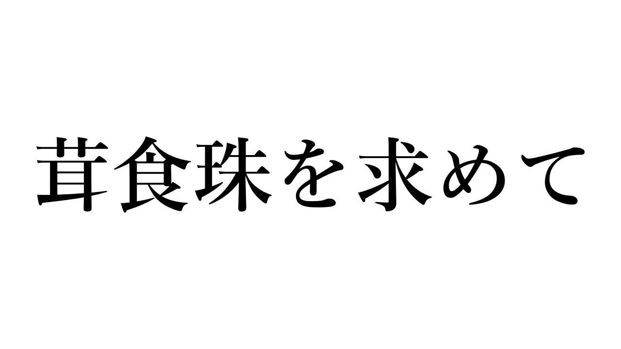 【MHXX】しゅっしゅっ集会所の準備