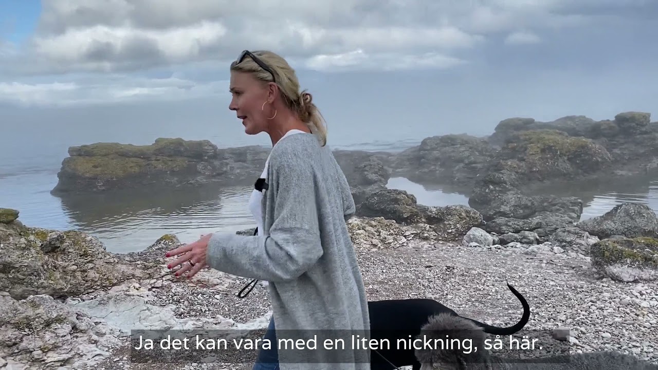 Därför hälsar alltid gutar