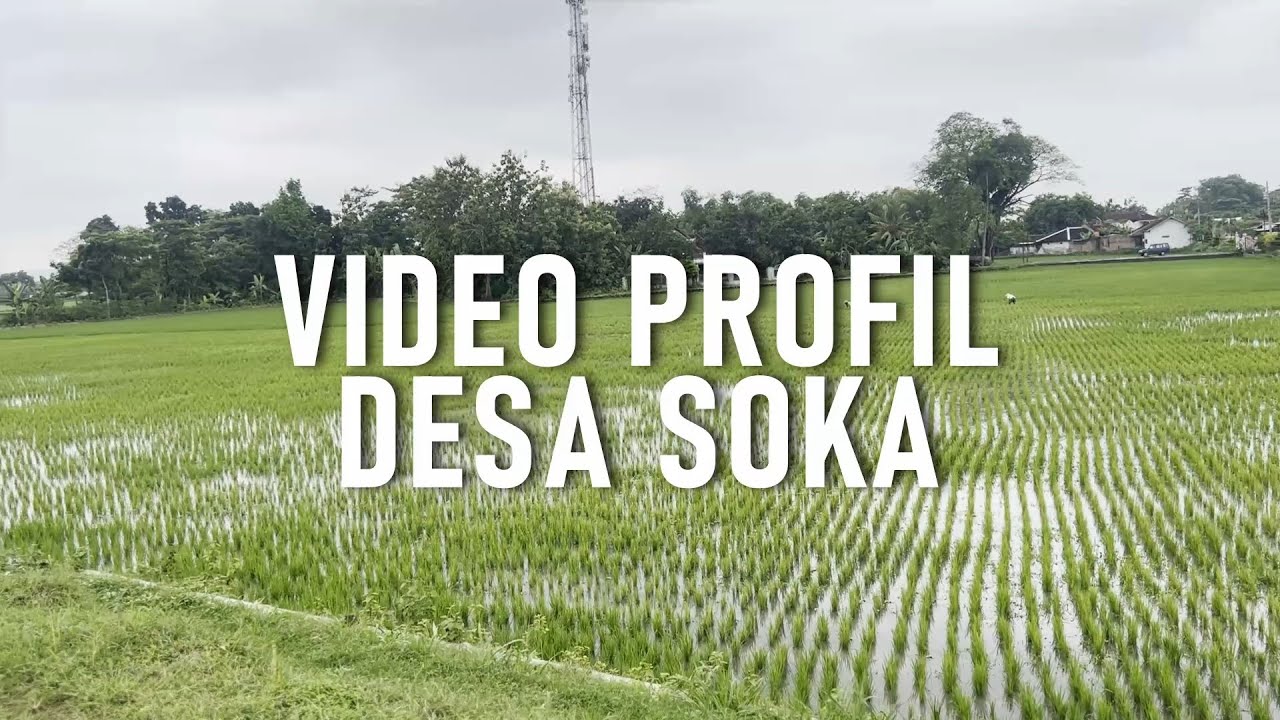 VIDEO PROFIL DESA SOKA, KEC KARANGDOWO, KAB KLATEN (KKN TIM 1 Universitas Diponegoro 2023)
