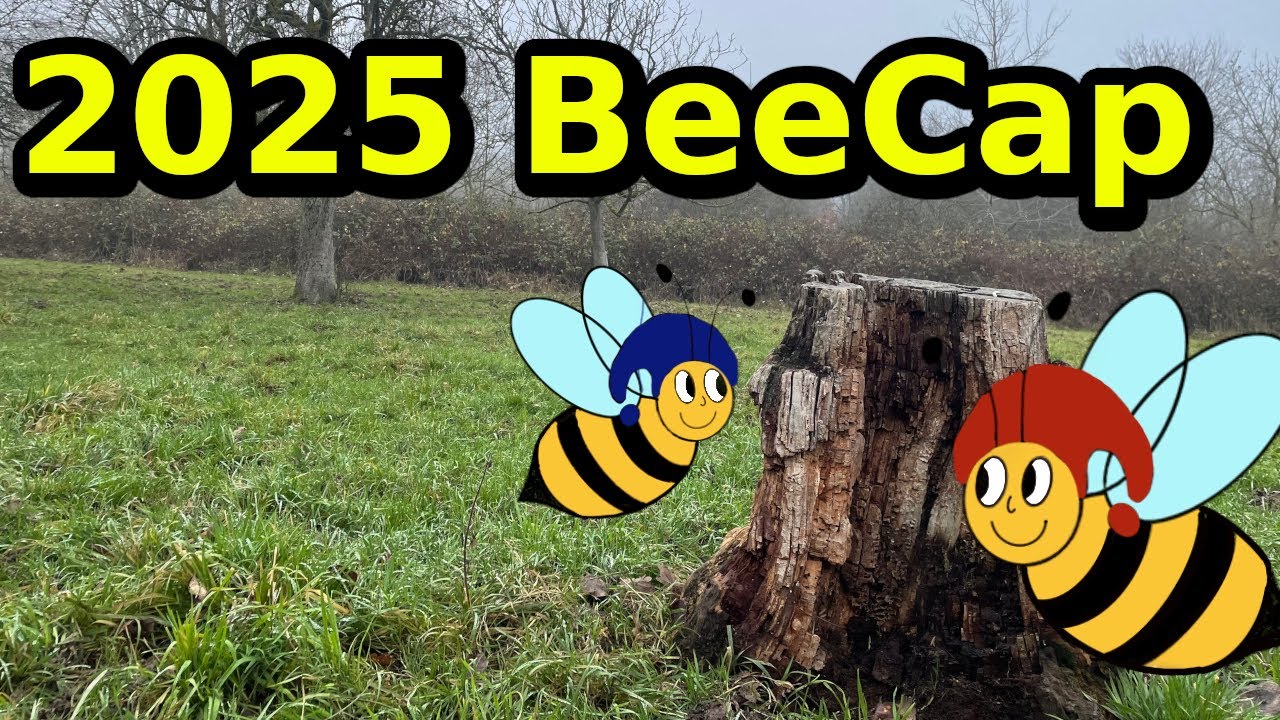 Our First Year With Bees - 2025 Recap