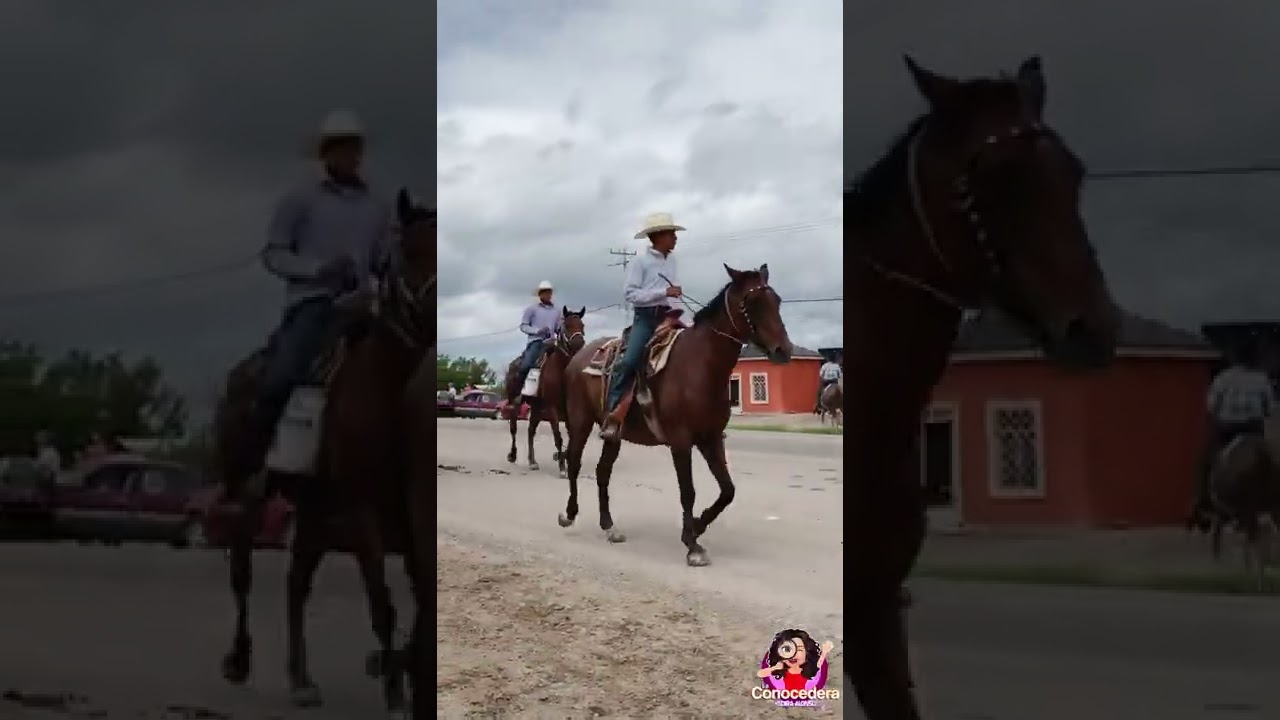 Cabalgata santa Rosalia de Camargo 2022