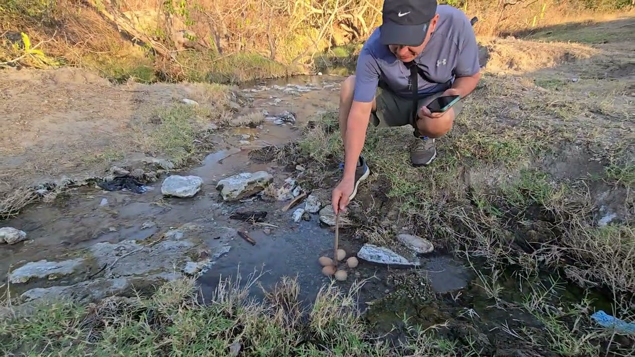 Vertiente de agua caliente natural  