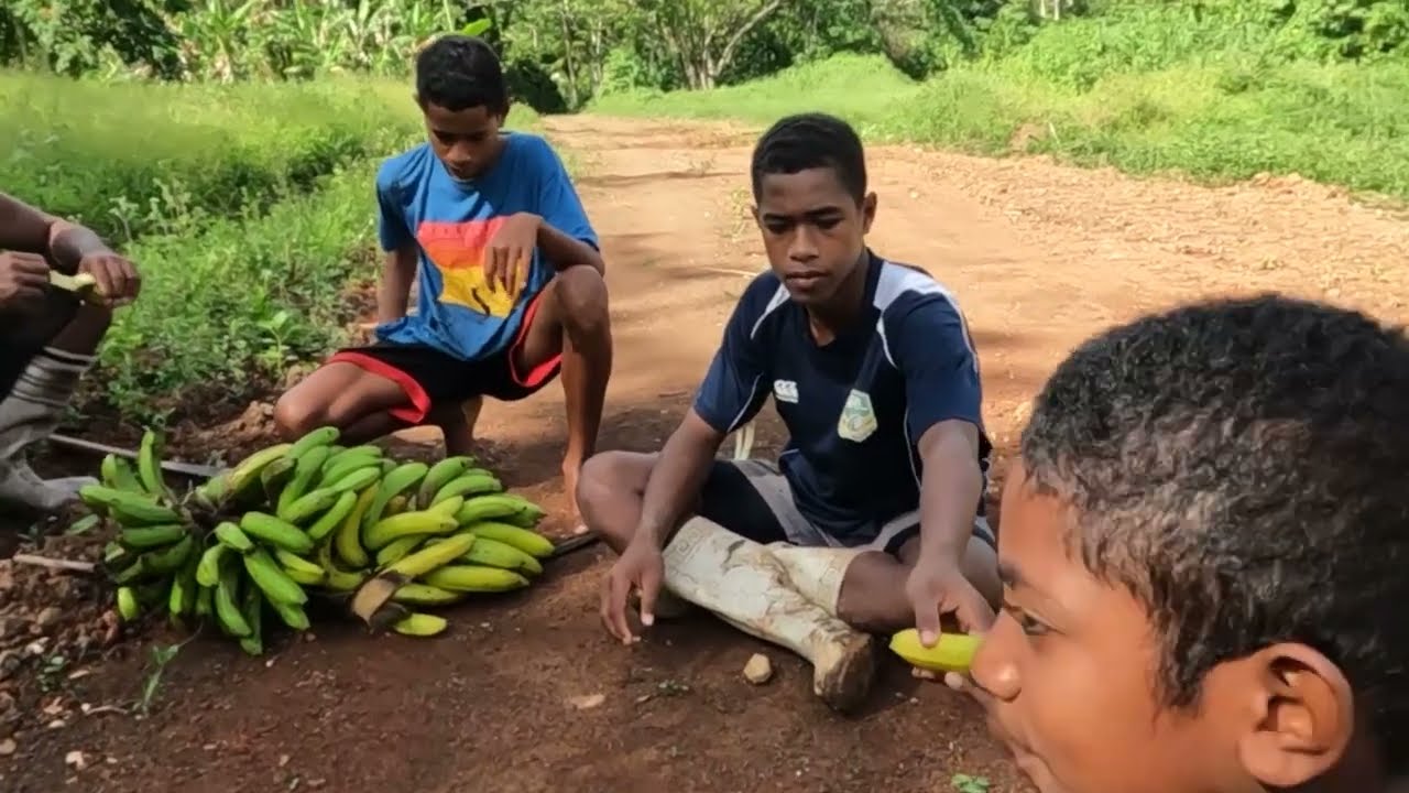 Life in a Fijian Village 🇫🇯 Hunting WILD PIGS - Real Fiji (Part One)