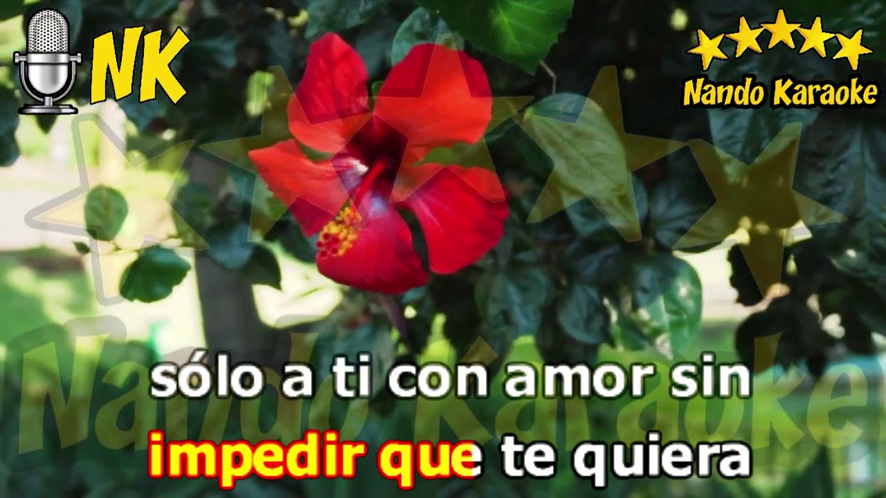NUNCA ME IMPEDIRÁS AMARTE - Leo Dan Karaoke