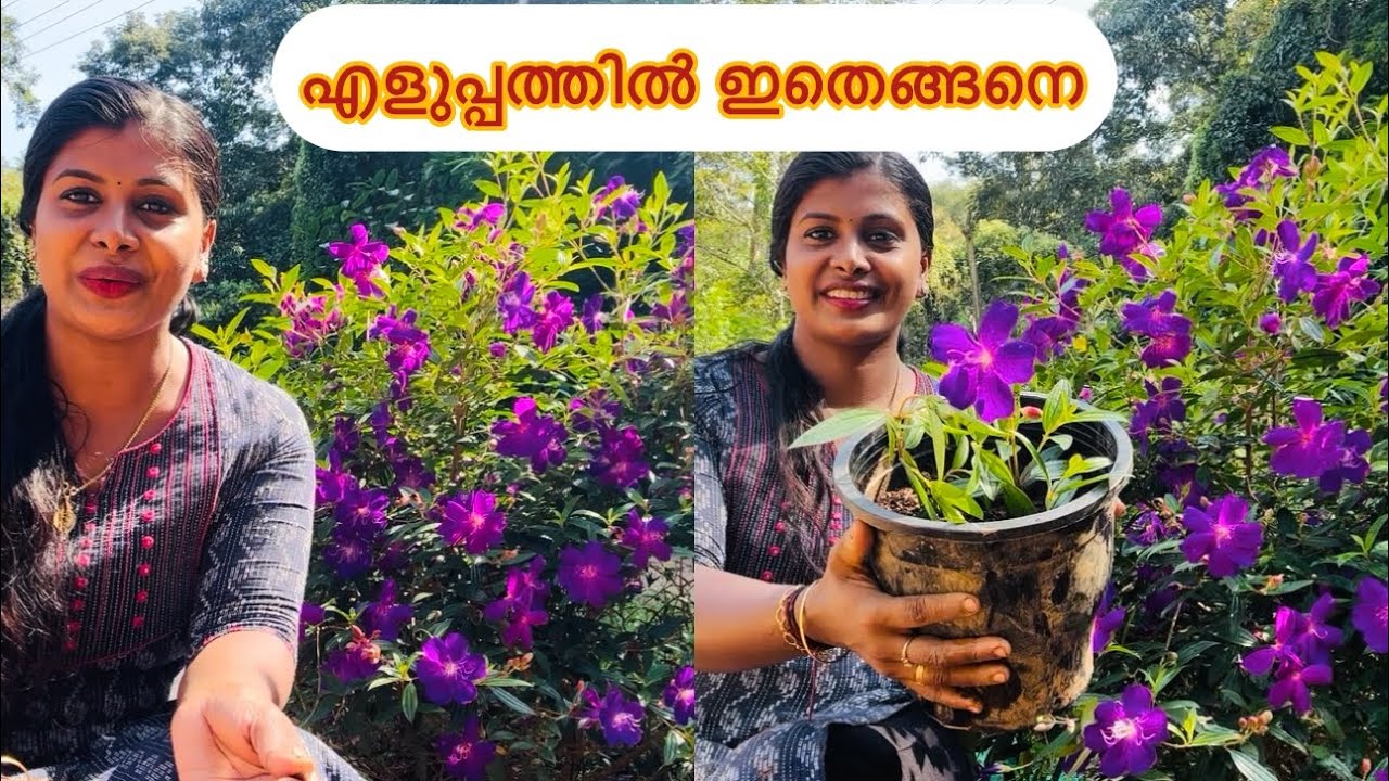 ഇതറിയാതെ പോവരുത് ഇനി എന്ത്എളുപ്പം #Aavaniees vlog