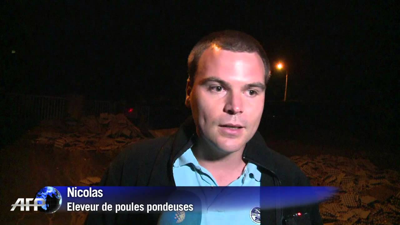 Prix des oeufs en France: les producteurs en colère