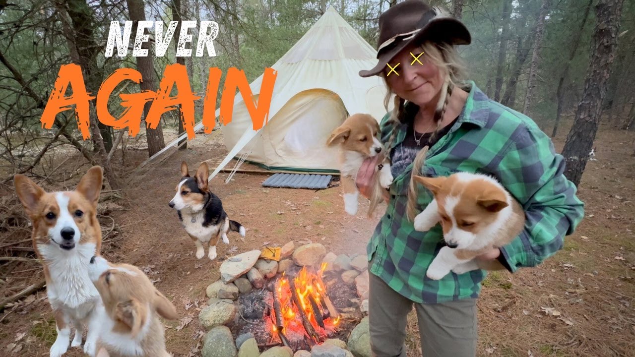 Camping with 5 Corgis. INSANE