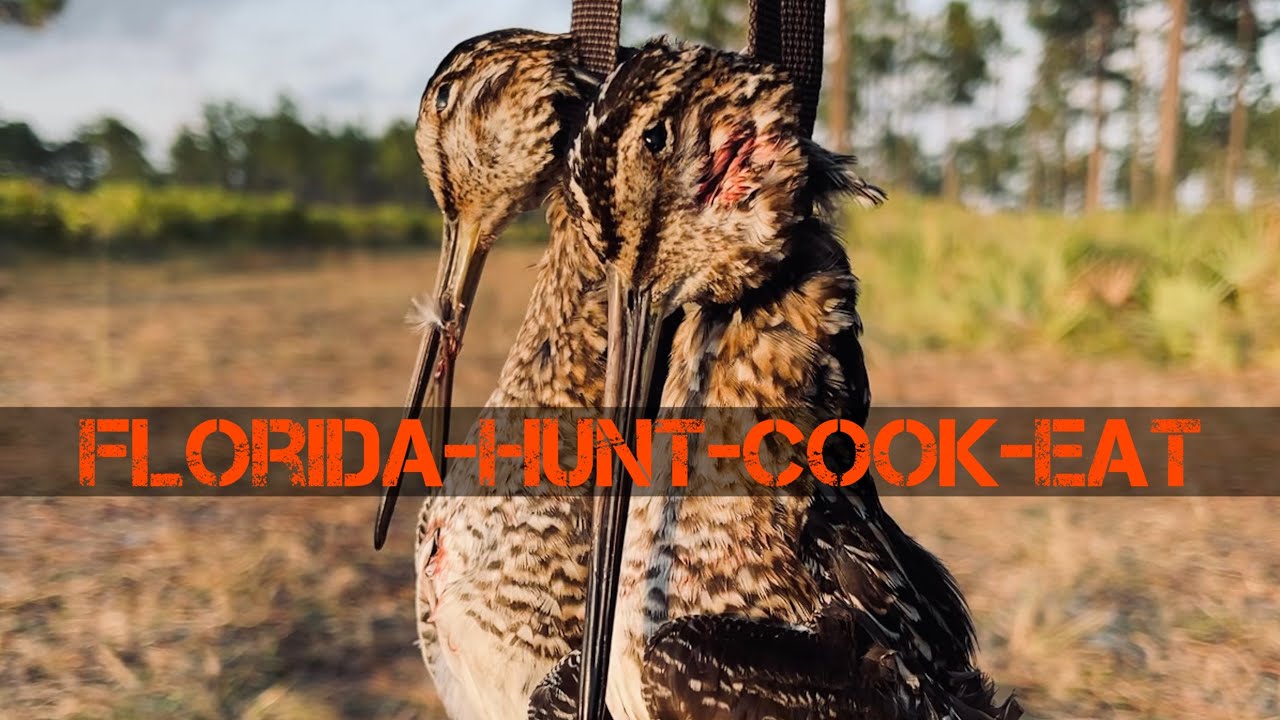 Florida Snipe Hunt Cook And Eat