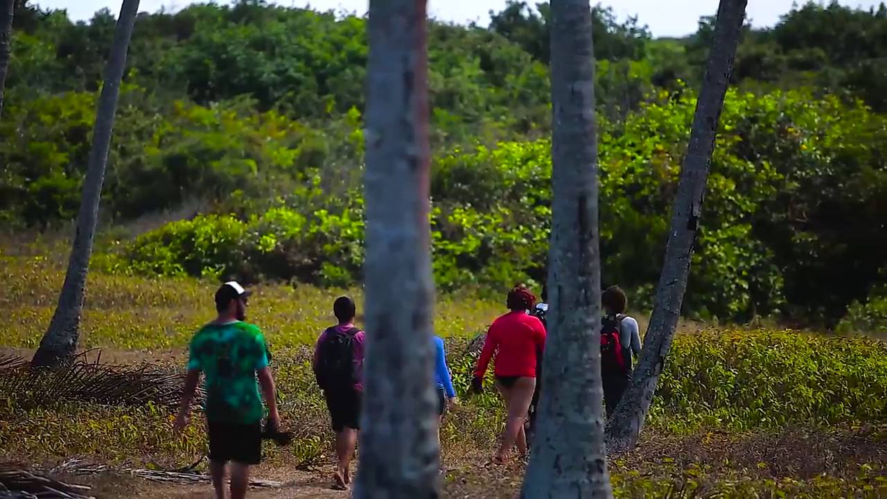 Trilha do Oiteiro, na Praia de Campina #Para&iacute;ba #PartiuBRASIL #F&eacute;rias
