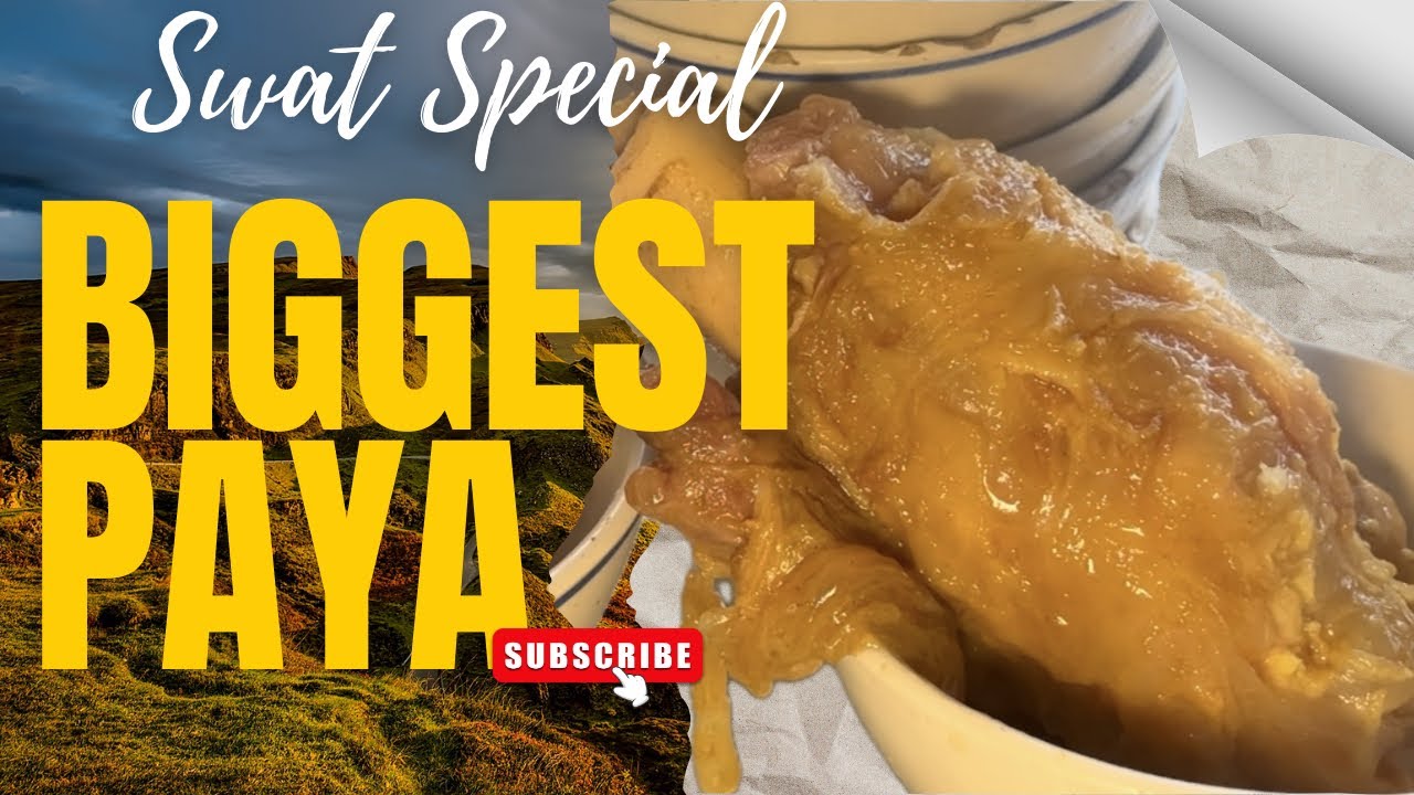 Pakistan’s Biggest Paya 🐐 | Swat KPK Street Food 🇵🇰