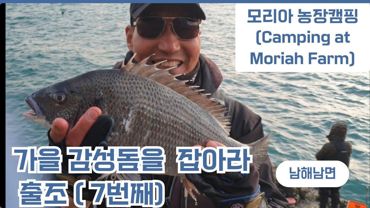 가을 감성돔을 잡아라  출조7번재(남해남면)드디어 ~^^