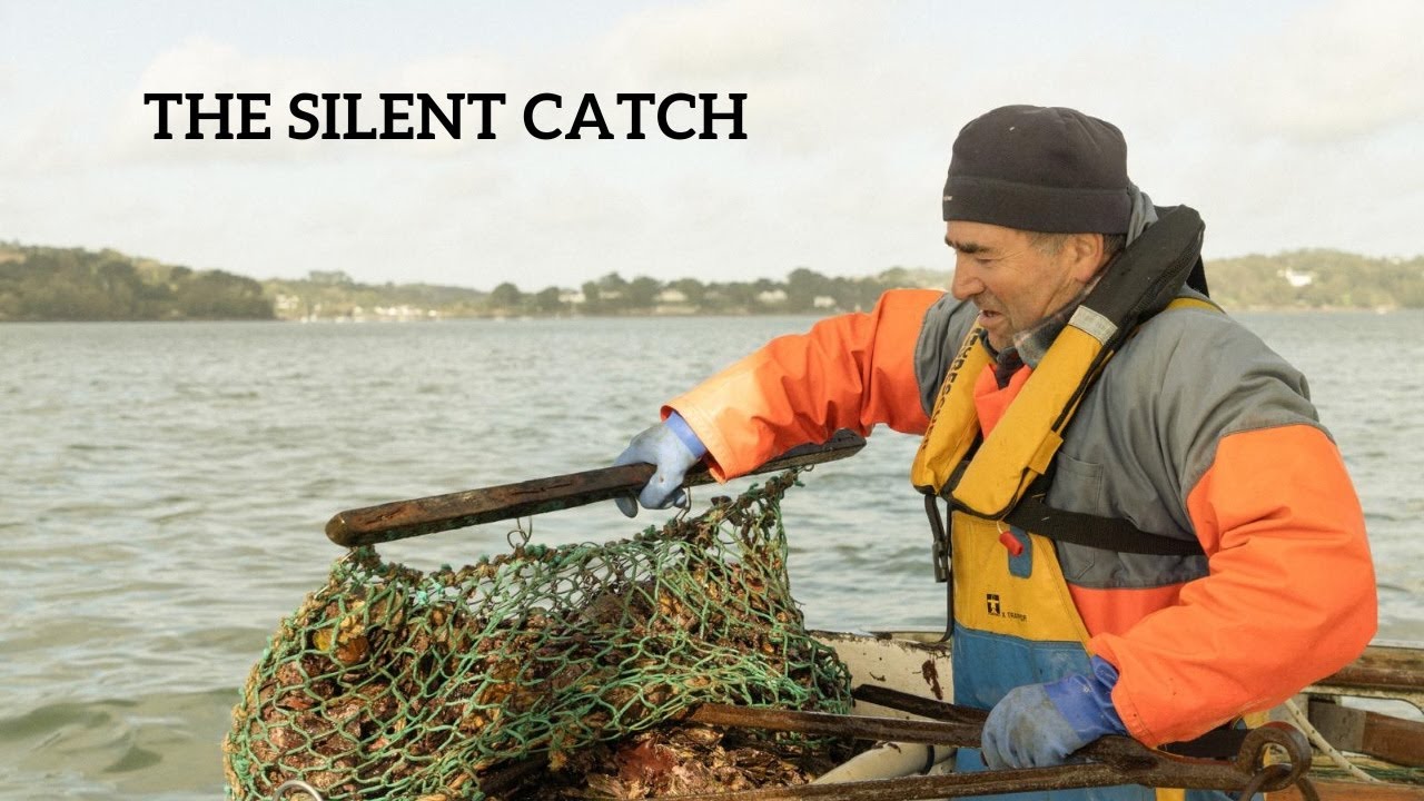 The Silent Catch: Oyster Dredging by Sail in Cornwall