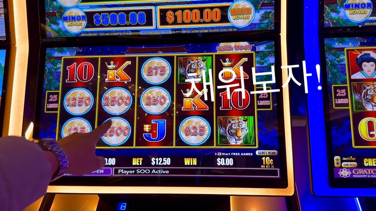 샌프란시스코 그라톤 카지노슬롯, 몰라! 이거저거 다해보자. 지난번 고구마 클레오파트라를 다시찾아왔는데 냉장고에있는 사이다 꺼내야하나? Graton Casino slot