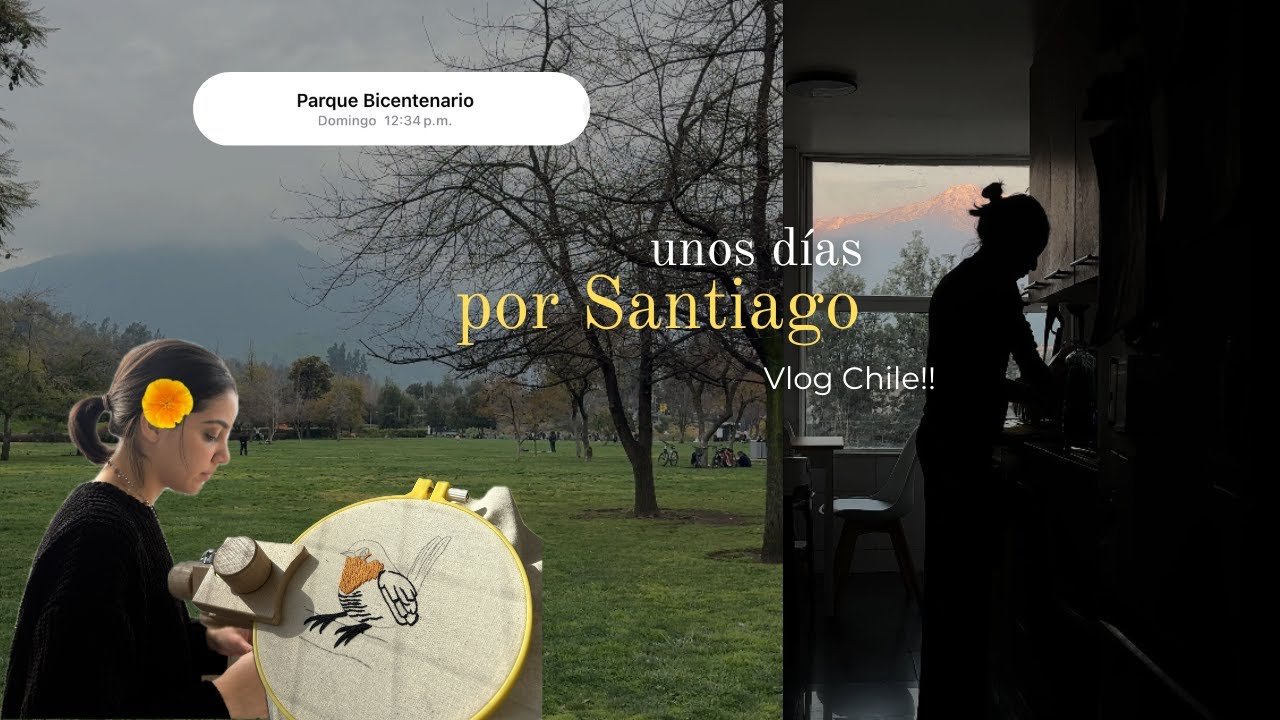 vlog Santiago!! días tranquilos • Parque Bicentenario, bordando en casa y creando mucho.