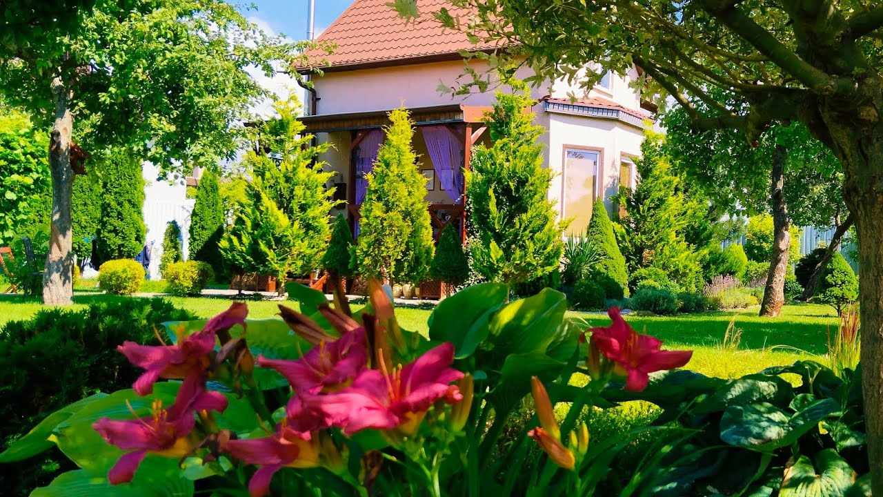 Дом, где хочется жить 🌿 Август, сад и домашние мелочи #дом #жизнь #сад #домдляжизни 