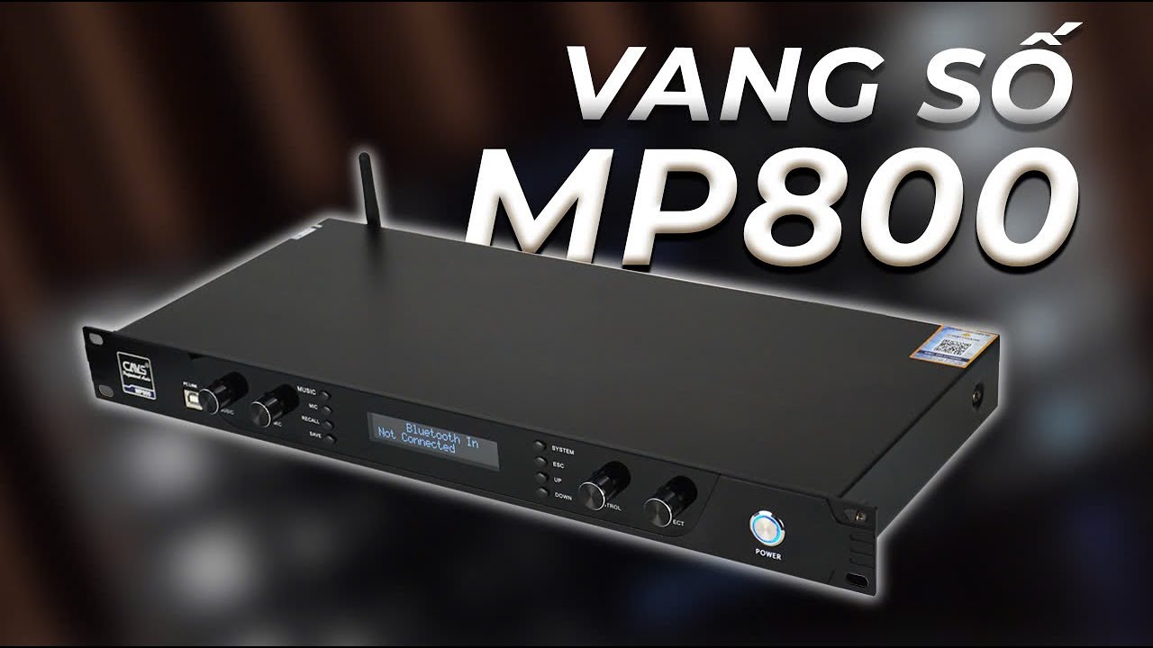 Vang số CAVS MP800 được ưa chuộng nhất 2024