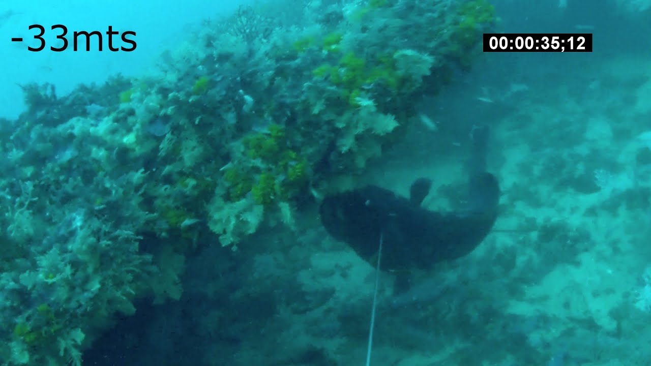 v&iacute;deo de pesca submarina con Jose Antonio Menacho del equipo Fusiles Orca y Tecnoblu